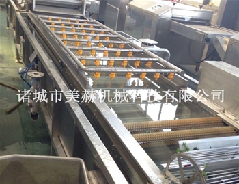 大棗氣泡清洗機(jī)